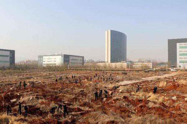 Planting Trees in Ruiyang Science Park